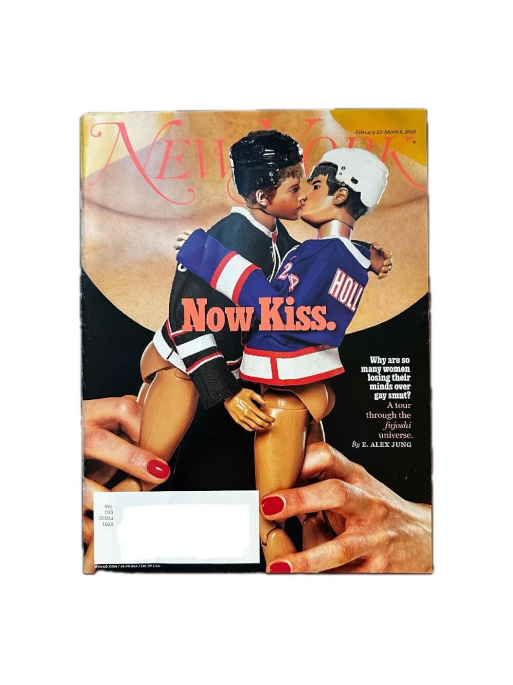 New York Magazine February 23 2026 Heated Rivalry Gay Smut